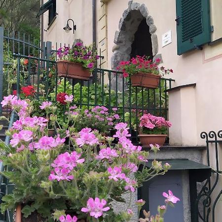 CarascoLa Casa Dell'Arcoアパートメント エクステリア 写真